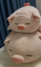 名创优品（MINISO）小猪B-BO弹力超柔趴姿公仔毛绒玩具玩偶抱枕靠枕生日61儿童节礼物 实拍图
