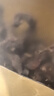 养益君 拐枣干500g 枳椇子 新鲜晒干可搭泡酒中药材拐枣酒生吃万寿果 实拍图