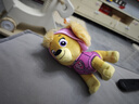 汪汪队立大功（PAW PATROL）毛绒玩具狗狗陪睡玩偶经典款天天站姿公仔男女孩儿童生日礼物 实拍图