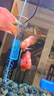 森森鱼缸变频加热棒适用400-600L水 离水断电加热器 ARK-1000J款1000W 实拍图