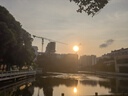 京东京造【10A抗菌】袜子女夏季女士纯棉防臭船袜透气超薄短袜白色短款6双 实拍图