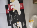 豪铂熊（BearBeer）德国精酿黑啤酒500ml*24听 整箱装 京东自营 春日聚会畅饮 实拍图