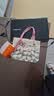 HelloKitty帆布包大容量通勤包包手提包时尚背包可爱百搭单肩包 粉色KT【带飘带】 实拍图