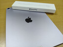 Apple/苹果 Pencil Pro 磁吸触控笔手写笔苹果笔电容笔书写绘画iPad笔 适用于iPad Pro/Air/mini机型 实拍图