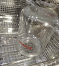 贝亲（Pigeon）防胀气 玻璃奶瓶160mlS码+PPSU奶瓶240mlM码 1-6个月奶瓶套装 实拍图