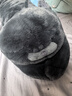 野兽派家居（tbh）懒蓝猫长条抱枕靠垫卧室夹腿办公室抱枕沙发可爱腰枕车载抱枕 实拍图