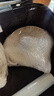 小熊（Bear）【价保618】迷你养生壶养生杯煮茶器 办公室恒温烧水壶电热水壶 煮茶壶小型花茶壶0.8升YSH-D08L1 实拍图