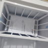 志高（CHIGO）小冰柜家用冷冻小型一级节能省电迷你卧式冷藏保鲜储母乳冷柜 【一级能效 万人推荐】 58L 单温单门 实拍图