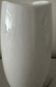范爷家陶瓷花瓶高级感大号家居客厅餐厅鲜花水培插花摆件轻奢简约装饰品 实拍图