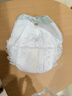 babycare金山茶花拉拉裤XXXXL26片(＞19kg)婴儿尿不湿超薄透气轻柔花苞裤 实拍图
