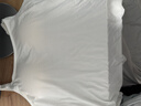 十月结晶哺乳文胸夏季薄款产后喂奶7A级抗菌孕产妇透气吊带背心 香草米L 实拍图