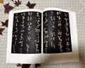 怀素小草千字文 大草千字文 唐 历代碑帖精粹 草书书法毛笔字帖 附简体旁注 安徽美术出版社 晒单实拍图