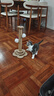 欢宠网猫抓柱猫抓板猫爬架猫玩具猫咪立式剑麻自嗨解闷神器猫猫小猫幼猫 实拍图