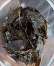 正宗贵州特产苦丁茶2026新茶余庆大叶苦丁野生毛冬青清热解暑散装 500克【经济实惠】 实拍图