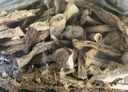 京鲜生云南鹿茸菇干货净重1斤 当季新货脆嫩爽口火锅煲汤小炒源头直发 实拍图