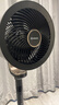 艾美特（AIRMATE）【旗舰金天鹅】空气循环扇语音智能遥控电风扇直流变频家用安静轻音一级能效落地扇负离子净化电扇 实拍图