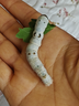 沃绣 蚕宝宝当天发货 活蚕宝宝蚕卵小蚕彩色蚕新鲜桑叶学生养蚕套装 1龄小蚕10条+小盒+桑叶 实拍图