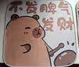 Brangdy卡皮巴拉四季通用坐垫办公室久坐清凉凉垫卡通防滑凉席 卡皮巴拉C 40*40cm 实拍图