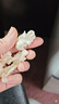 鲜级佳大凉山新鲜湿核桃去青皮嫩核桃老树薄纸皮核桃孕妇专用生核桃新货 【去青皮】净重5斤精品装丨送夹子 实拍图