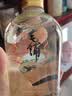 毛铺草本白酒 苦荞酒  金荞42度 500ml*6瓶 标准版 整箱送礼 实拍图