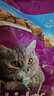 伟嘉成猫猫粮全价粮1.3kg海洋鱼味夹心粮布偶蓝猫橘猫 实拍图