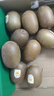 佳沛（zespri）新西兰阳光金奇异果16粒礼盒经典果单果 88-103g  猕猴桃水果礼盒 实拍图