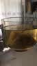 胖东来同款茉莉花陈皮茯苓茶排浊生香茶清浊茶包喝出体香养颜水 每天一杯 喝出自然体香 1袋*1袋 茉莉茯苓陈皮茶【30包】上火口臭 实拍图