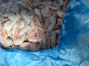 禧美海产熟冻北极甜虾净重3斤装/盒 150/180小号规格 MSC认证 轻食海鲜 实拍图