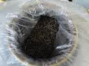 武夷欢茶叶礼盒装红茶金骏眉高端礼品领导长辈新茶特级正品300g 实拍图