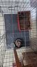 腆宠狗笼猫笼 狗笼子中小型犬带厕所幼犬狗窝猫笼子大号家用围栏兔笼 实拍图