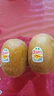 佳沛（zespri）新西兰 金果12粒特大果单果124-146g 端午节礼物水果礼盒 猕猴桃 实拍图