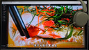 HKC 27英寸2K高清235Hz FastIPS屏HDR400硬件低蓝光10bit电竞三角洲游戏旋转升降白色显示器 战舰S7W 实拍图