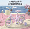奥仕龙x迪士尼联名自行车儿童3-6岁小孩单车4-8岁公主款儿童自行车 冰雪奇缘-艾莎【可折叠】礼包 14寸 适合90-105cm 实拍图