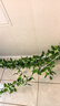双盟仿真藤条绿萝叶婚庆节庆装饰假树叶藤蔓塑料花藤下水管道遮挡绿叶 实拍图