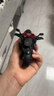 菲贝（feibei）合金玩具车3-6岁仿真摩托车玩具模型10岁男孩生日礼物 实拍图