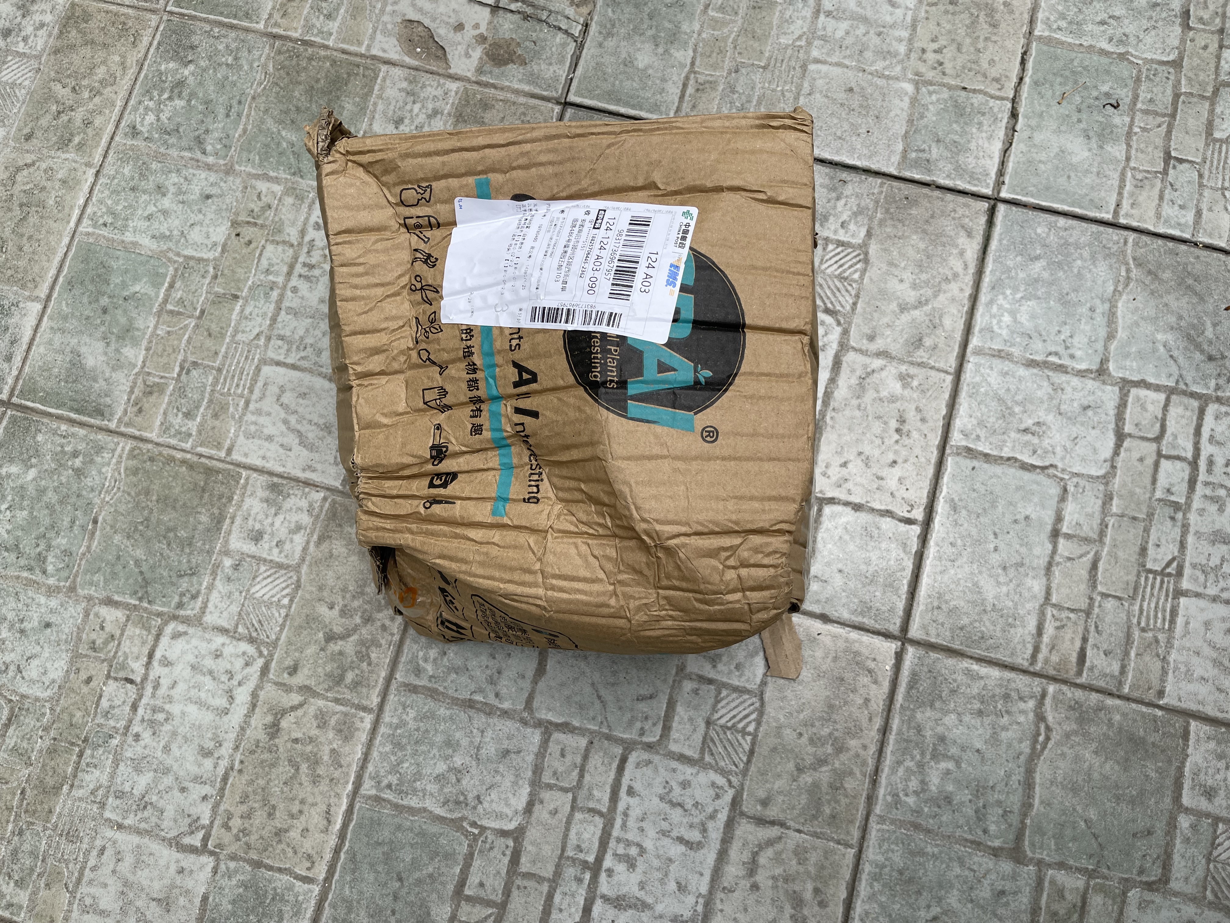 CPAI喷壶浇花气压式喷水壶家用小型喷雾器园艺高压消毒清洁打农药专用 3L加厚款侧加液+加长杆 无规格 实拍图