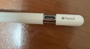 Apple/苹果 Pencil(USB-C) 磁吸触控笔手写笔苹果笔电容笔iPad笔 适用iPad 11/mini/Pro/Air 实拍图