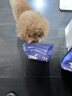 奥丁（ODIN）NEO老年犬狗粮成犬小型中大型犬通用柯基金毛高龄犬专用狗粮1.5kg 实拍图