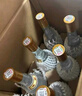 汾酒 53度 黄盖玻汾 475ml*6瓶 杏花村清香型高度白酒 山西杏花村 53度 475mL 6瓶 实拍图
