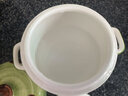 陶煲王陶瓷双盖隔水炖盅煨汤小瓦罐汤盅1-2人宝宝辅食一人蒸蛋盅迷你煲 【不可明火加热】嘿凤梨 500ml 实拍图