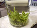 醉茗山2026年明前新茶 龙井500克正宗杭州豆香绿茶鲜芽嫩芽浓香型散装 实拍图