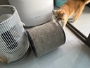 霍尼韦尔（Honeywell）宠物空气净化器吸猫毛除过敏源猫猫搭子 猫毛净化器杀菌消毒除异味KJ360F-C22W 实拍图