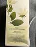 OLORISA澳洛莉 茉莉花按摩精油500ml刮痧spa推拿油清爽男女经络润滑情趣 实拍图