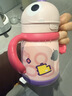 babycare儿童保温杯婴儿宝宝吸管水杯霸王龙不锈钢保温杯300ml-新旧款混发 实拍图