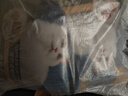 亿迪 冻干猫粮成猫幼猫20斤国产全价蓝猫美短布偶全阶段 实拍图