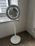 美的（Midea）【暴风循环】空气循环扇大风量摇头电风扇家用台式落地扇轻音卧室节能小风扇柔风轻羽扇 FGA24TQ 实拍图