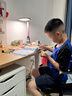 乐高（LEGO）积木机械组42198 丛林飞机男女孩玩具六一儿童节礼物家居装饰摆件 实拍图