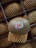 佳沛（zespri）新西兰金果18粒单果103-124g 端午节礼物水果礼盒 猕猴桃 实拍图