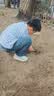 九千谷不锈钢小铲子园艺工具窄铲园艺园林种花除草挖土多肉种植工具4436 实拍图