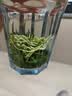 胖东来绿茶信阳毛尖明前散茶口粮茶自饮自己喝东来茶叶代购【京东快递】 【京东快递】散茶信阳毛尖茶200g*1袋 实拍图